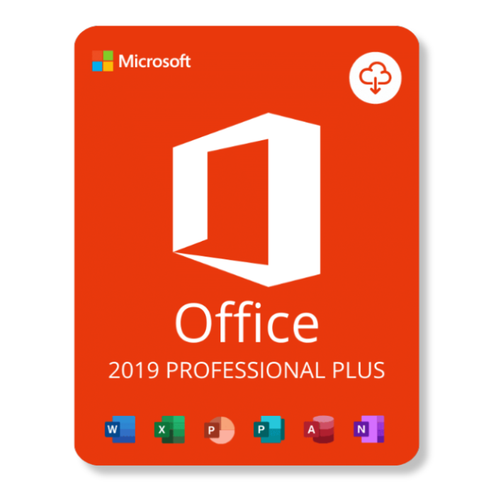 Licență Office 2019 Professional, cheie digitală permanentă, activare online
